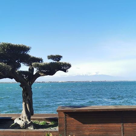 Appartement Cosy Sur La Presqu'Ile De Cap Coudalere Avec Piscine Ouverte Et Chauffee Le Barcarès Exteriér fotografie